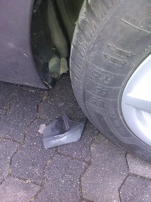 Clio nadkole 1.jpg
