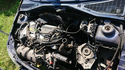 image (1).jpg