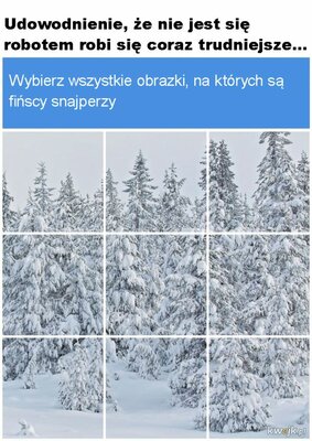 Snajperzy.jpg