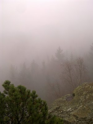20121124393.jpg