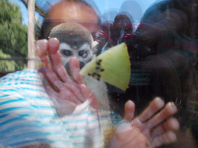 DSCN0444.JPG