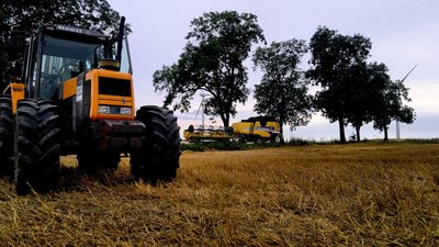 2013-08-09-023mini.jpg